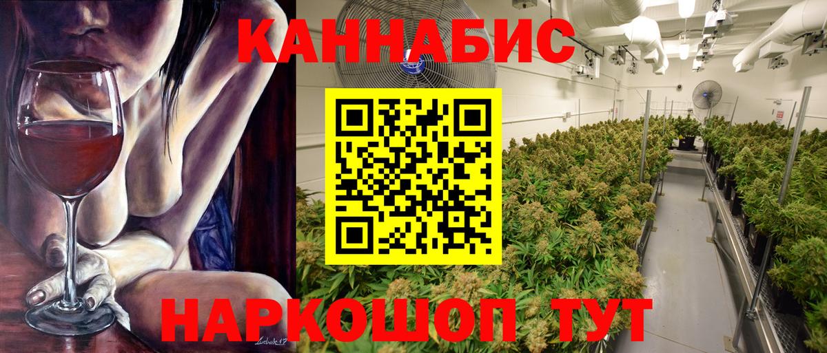 Бошки марихуана сатива  Каннабис семена  Канабис план  Конопля ГИДРОПОН  Барнаул  Вход с VPN 